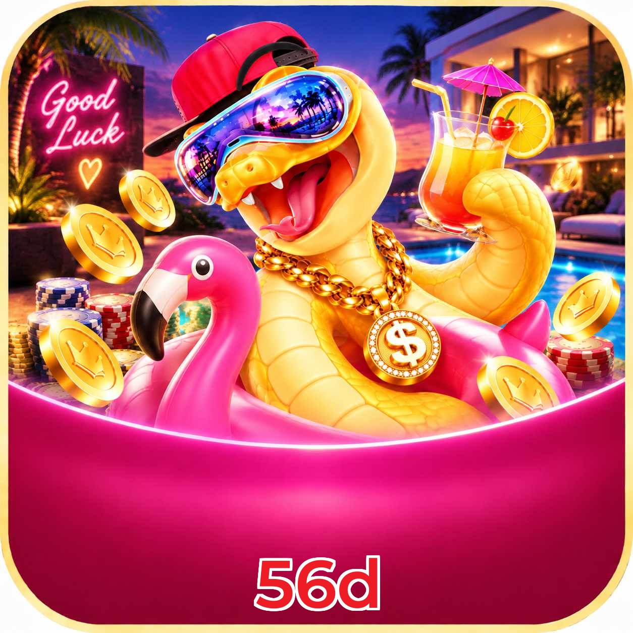 56d Login FAQ
