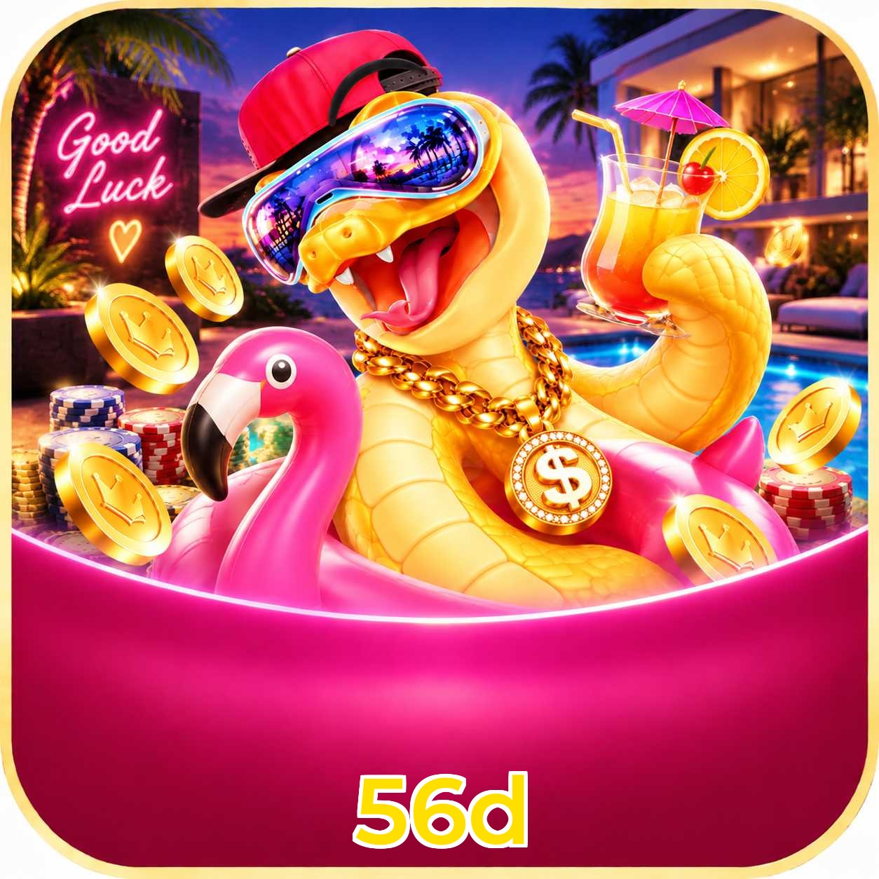 56d App FAQ